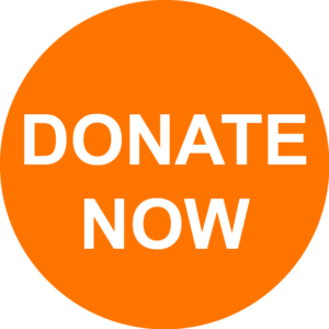 Donate Now Logo